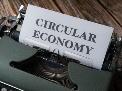 World Economy Update