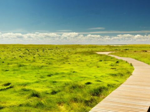 The Trustworthy Path to Better Credit: Strategies for Long-Term Financial Health