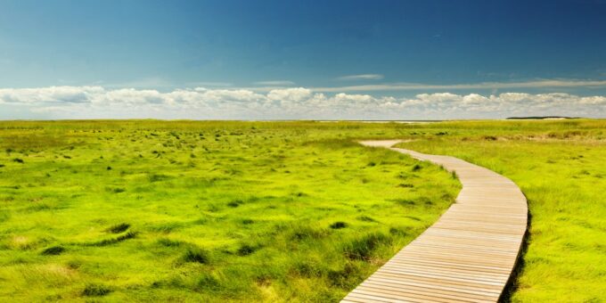 The Trustworthy Path to Better Credit: Strategies for Long-Term Financial Health